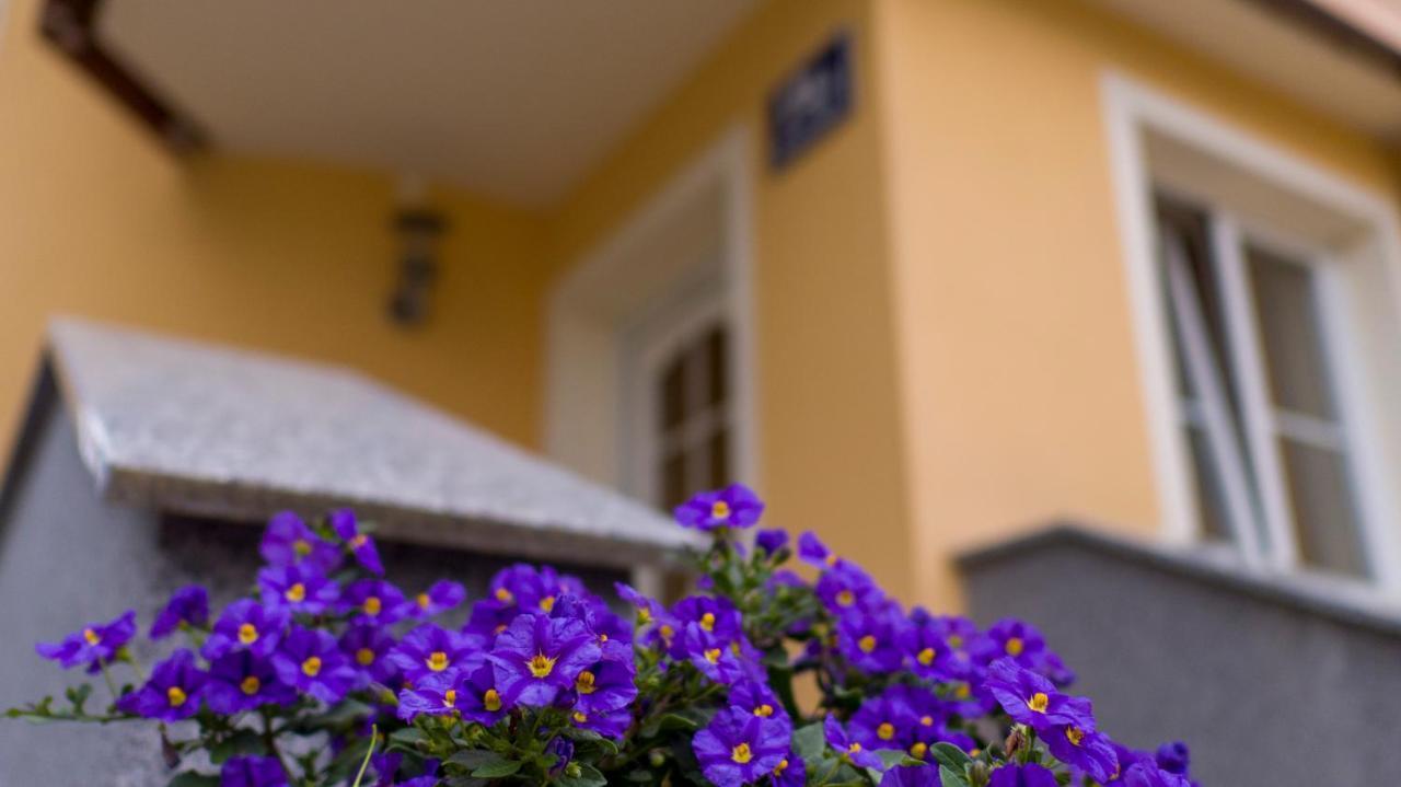 Ferienwohnung Claudia Salzburg Exterior foto